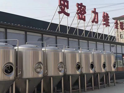 东城精酿啤酒设备厂—市场规模与跨界新需求